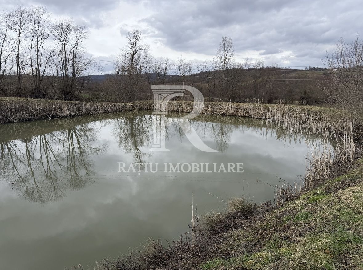 Pescărie cu teren intravilan | Drăgești | Bihor - Poză 3