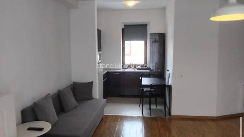 Garsonieră spațioasă de închiriat | Herăstrău - Poză 7