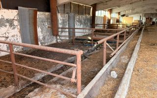 Fermă Sărand | Bihor | 25.659 mp teren intravilan - Poză 9