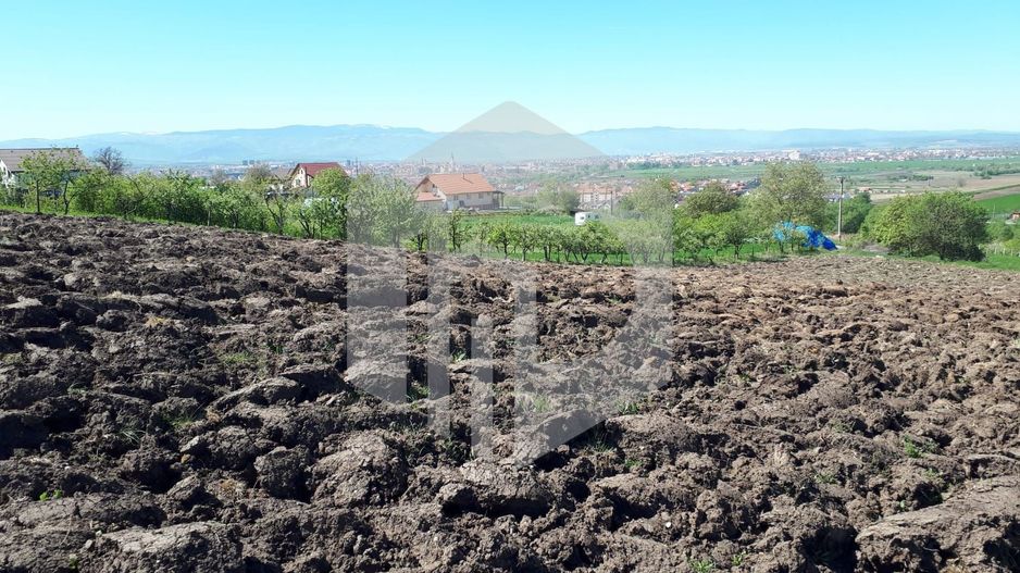 Teren de Vanzare - Gusterita - 5100mp - Intravilan - 0% Comision - Poză 2