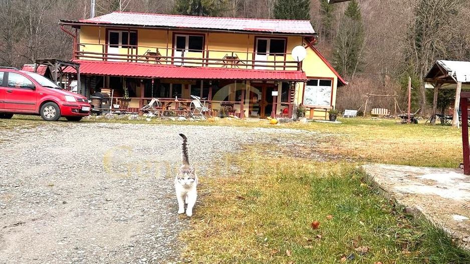 Vilă premium la munte – ideală pentru pensiune sau retreat - Poză 6