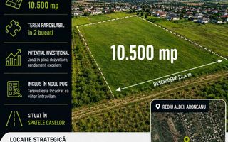 Teren 10.500 mp în Rediu Aldei, comuna Aroneanu – perspectivă intravilan - Poză 2