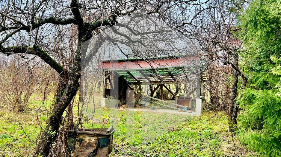 Casa de vanzare  in Talmacel-Teren 4000 mp cu livada+garaj - Poză 12