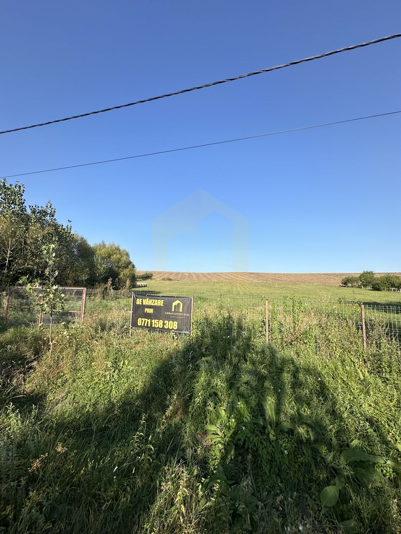 Vanzare teren 2936 mp, zona strada Dealu Fanatelor - Poză 6