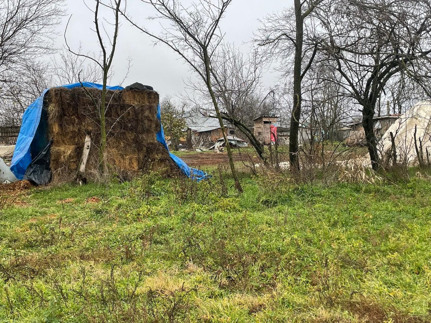 Teren intravilan 3367 mp cu casa demolabile 54 mp puț existent! - Poză 8