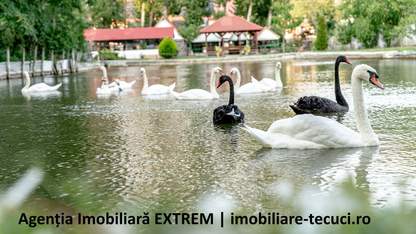 Pensiune, restaurant, bar, iaz, păstrăvărie, în Gidigeni, jud. Galaţi - Poză 12