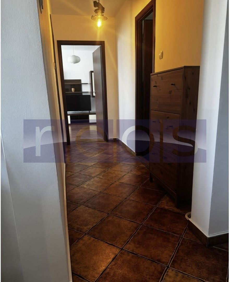 VANZARE 2 CAMERE DECOMANDAT- DRISTOR- BABA NOVAC - Poză 11