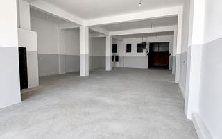 Hală industrială | 500 mp | Curte 600 mp | Zona Terezian - Poză 2