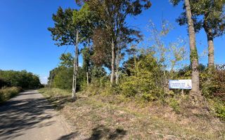 De vanzare Teren Intravilan Viile Satu Mare 2812MP/Dublu Front Stradal - Poză 7