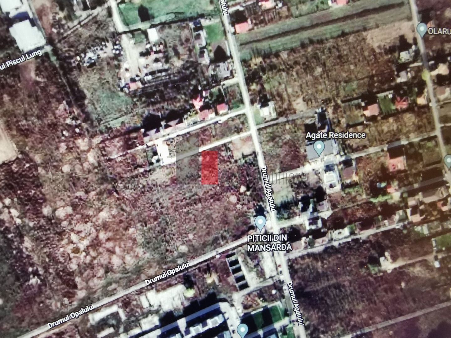 847 mp | Padurea Baneasa | lot casa | 120 euro/mp |   Drumul Agatului - Poză 3