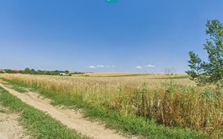 Teren intravilan + extravilan în Remetea Mică - Poză 5