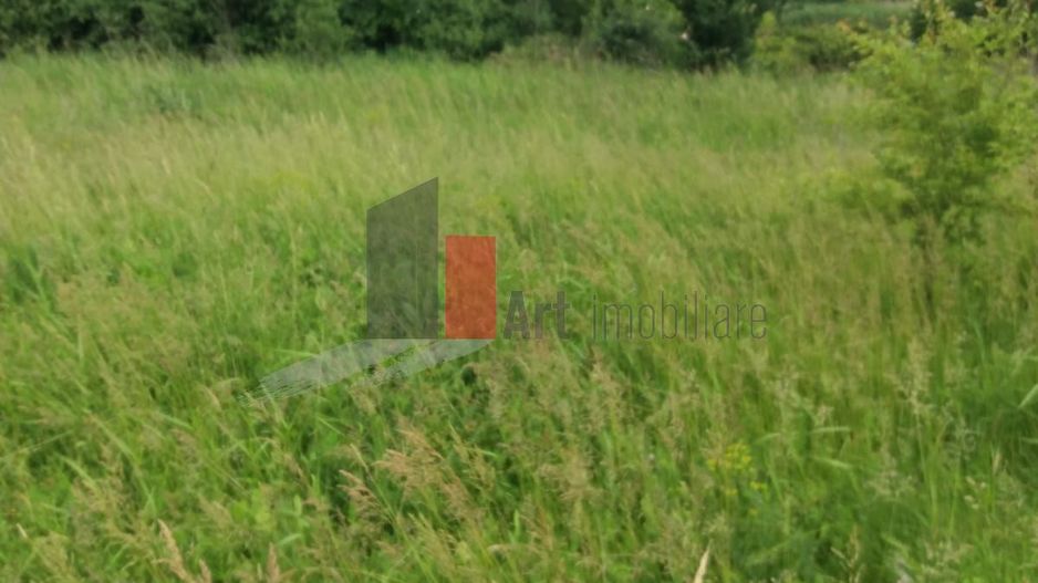 Teren Buftea cu iesire la lac - Poză 31