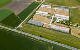 Teren Intravilan Investiții 11.600 mp Salonta - Poză 7