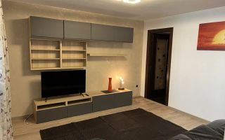 Casa de inchiriat in zona Bucurestii Noi/Limita Chitila - 0 Comision - Poză 2