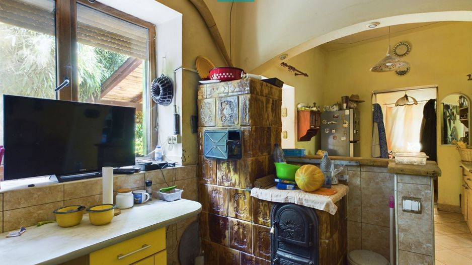 Casă cu livadă de pomi în Dorobanți - Poză 7