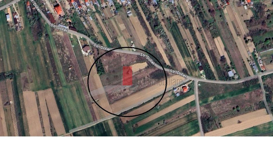 Vânzare teren Ogrezeni județul Giurgiu - Poză 3