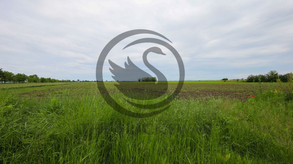 Teren de vanzare in Manesti, Prahova | 18.000 mp | Deschidere 60 ml - Poză 1