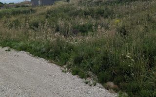Teren 1000 mp cu utilitati-ideal casa, cabana, investitie-Dealul Jelnei - Poză 4