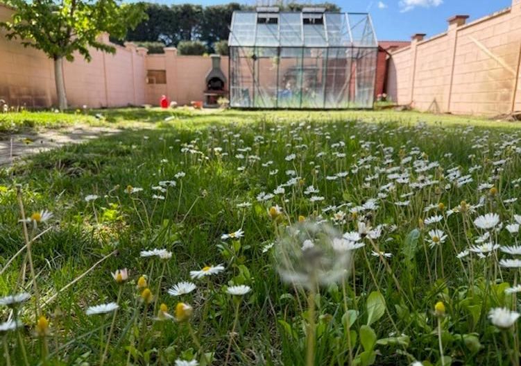 Braytim | 4 camere | 140 mp | Teren 337 mp | Garaj | Panouri FV - Poză 6