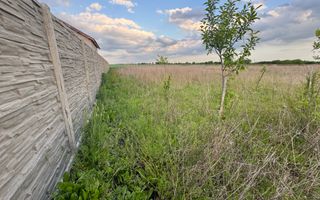 Teren Intravilan Becicherecu Mic ,776 mp,Fs. 17,5m - Poză 3