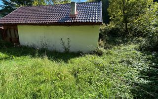 Cabana de vanzare, Valea Manastirii - Ramet - Poză 9