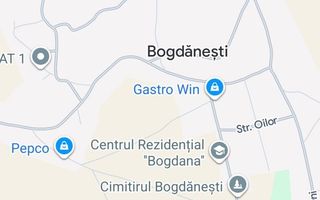 Teren intravilan 5.700 mp cu casa batraneasca, anexe si beci - Bogdanesti, com. Horlesti, Iasi - Poză 1