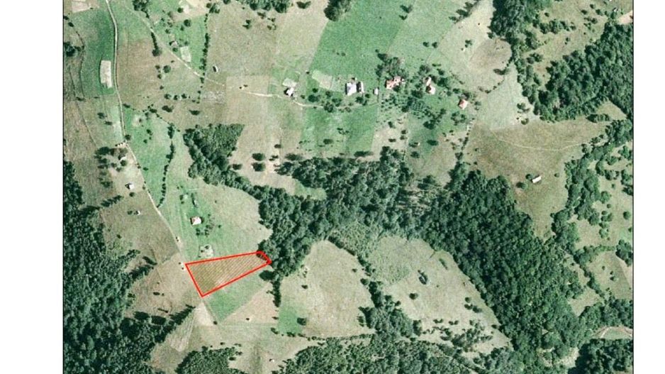 Teren pe platoul satului Pestera - Poză 5