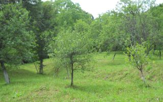 Teren Breaza de Jos, Prahova, Podu Vadului, 3750 mp (posibilitate si de 6000 mp) - Poză 1