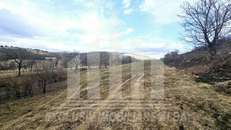 Teren intravilan de vanzare, Geogiu de Sus - Poză 3