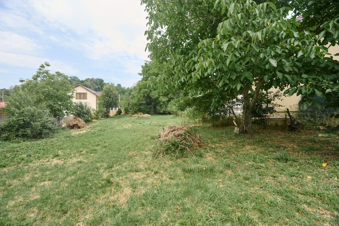 Teren 2240 mp intravilan + casa batraneasca Hintesti-Basangesti - Poză 7
