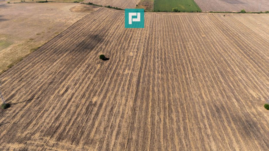 Oportunitate! Teren 4.345 mp – Şagului - Poză 4