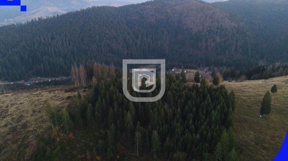 Teren situat in Frasin | BUCOVINA - Poză 7