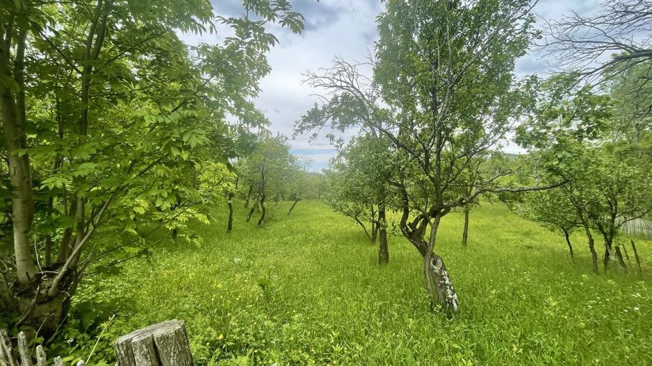 Teren intravilan Sotrile 6762 mp – Investitie, camping, agroturism - Poză 1