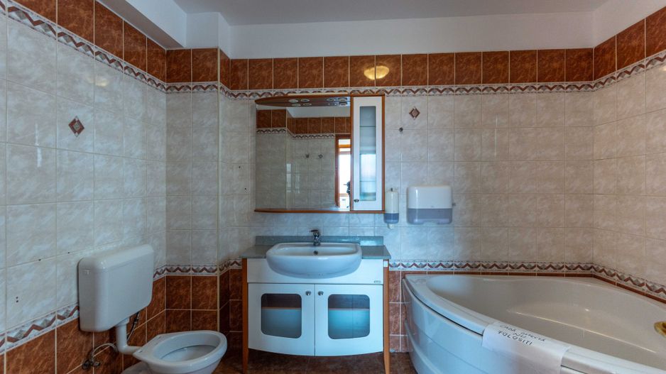 Aviatiei | Smaranda Braescu | Vila reprezentativa de inchiriat - Poză 40