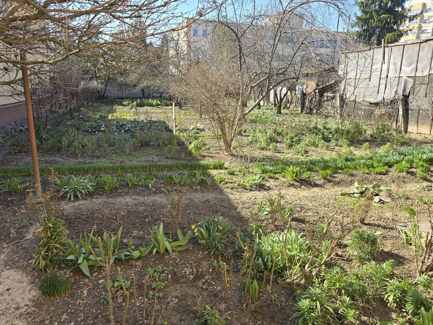 BRASADAS vinde casa 3 cam 120mp teren 7 ari zona Micro 17. - Poză 3