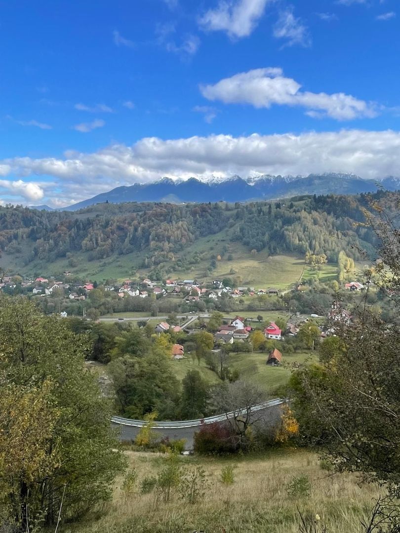 Teren extravilan cu priveliste catre Bucegi – Moieciu de Jos 4.700 mp - Poză 13