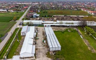 Hale depozitare/producție 2.000 mp si 10.000 mp teren în Pecica - Poză 3