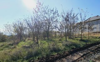 Teren intravilan de vanzare, Podei - Poză 2