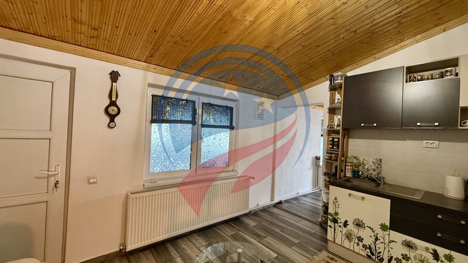 Casa cu teren generos/de vanzare/com Leu, Dolj - Poză 14