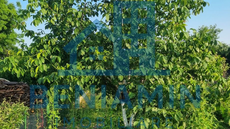 Teren 709mp utilitati asfalt Livezi, Podari, la 7,5 km de Craiova - Poză 3