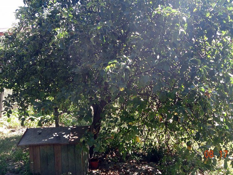 De vanzare  - casa cu 4 camere,  900 mp teren  - str. Razboieni. - Poză 6