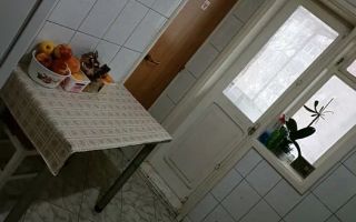 Apartament cu 2 camere in zona Pantelimon (Centrala Proprie) - Poză 4