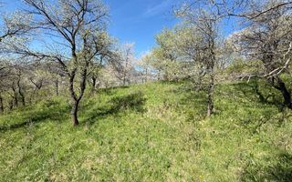 Teren 2500 mp Sohodol - Poză 10