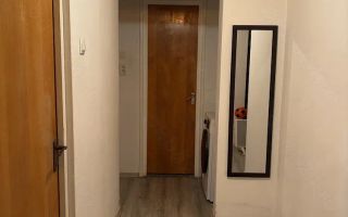 Apartament 3 camere. Parc Tineretului. Aleea Trestiana. - Poză 4