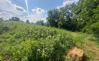 Teren Darmanesti | 41 Ari | 26.500EURO - Poză 6