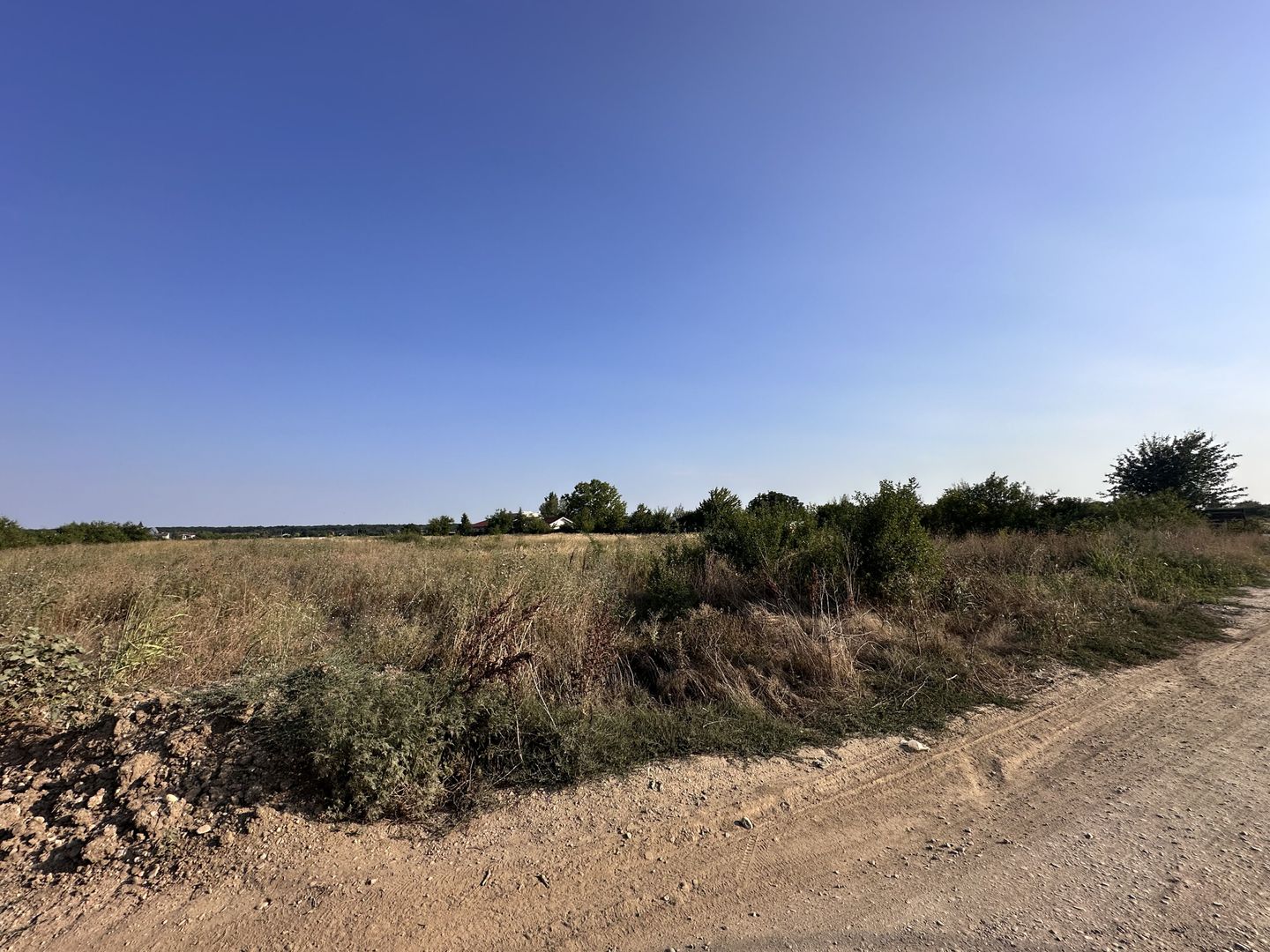 Teren Tancabesti intravilan iesire la lac Snagov - Poză 8