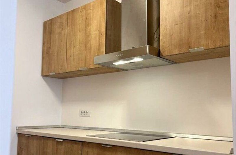 Inchiriere apartament 2 camere  One Floreasca Lake - Poză 3