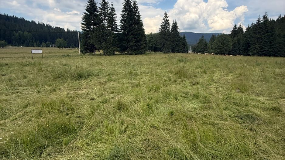 PARCELE DE VÂNZARE, pe malul râului BÂSCA, COMANDAU, COVASNA - Poză 14