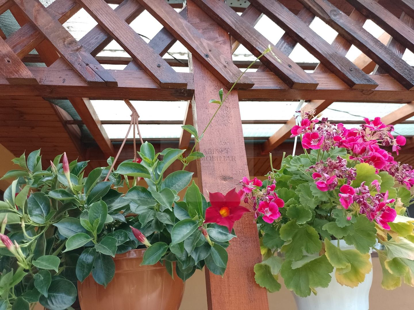 Casă de vacanță modernă cu teren generos –15min de Tecuci - Poză 20