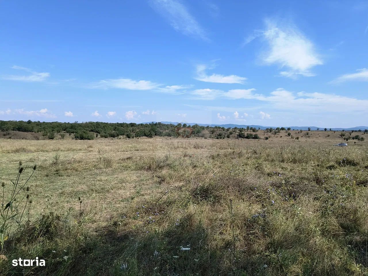 Teren intravilan langa padure - Poză 2